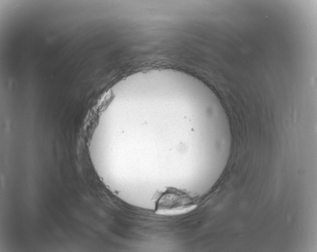 X0000060580672200511171659