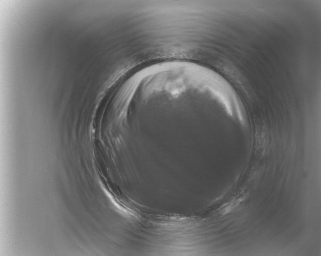 X0000060580674200511171658