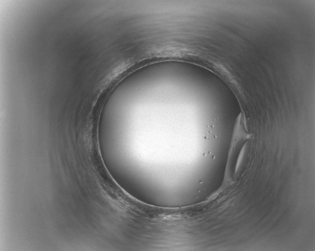 X0000060580675200511171658