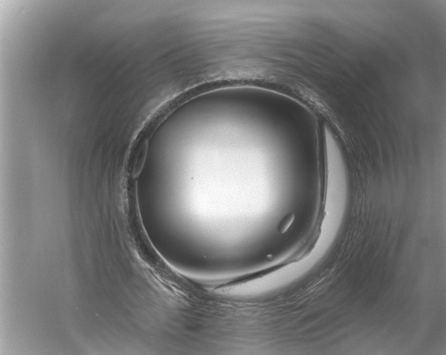 X0000060580676200511171658