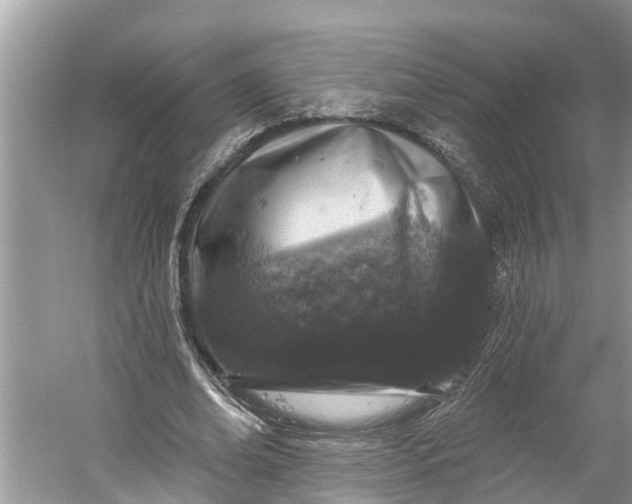 X0000060580678200511171658