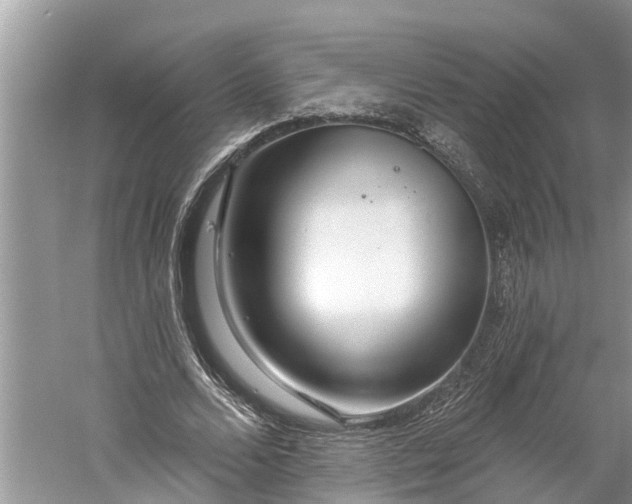 X0000060580680200511171658