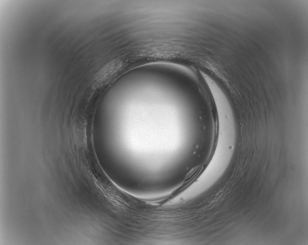 X0000060580685200511171658