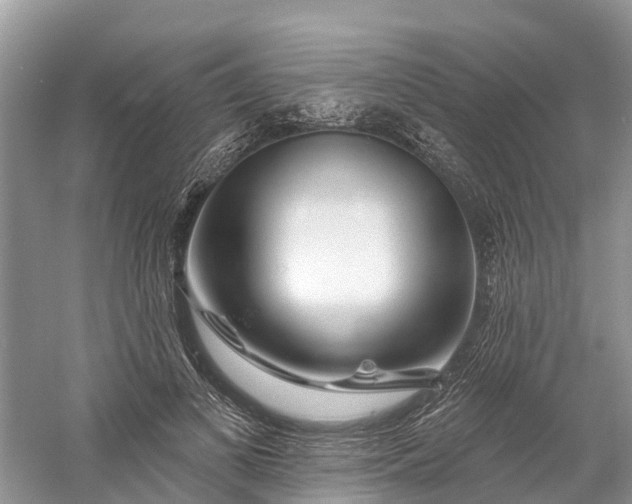 X0000060580693200511171658