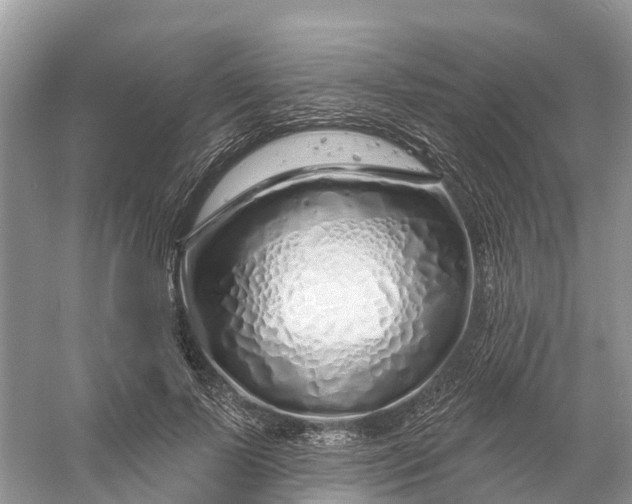 X0000060580695200511171658