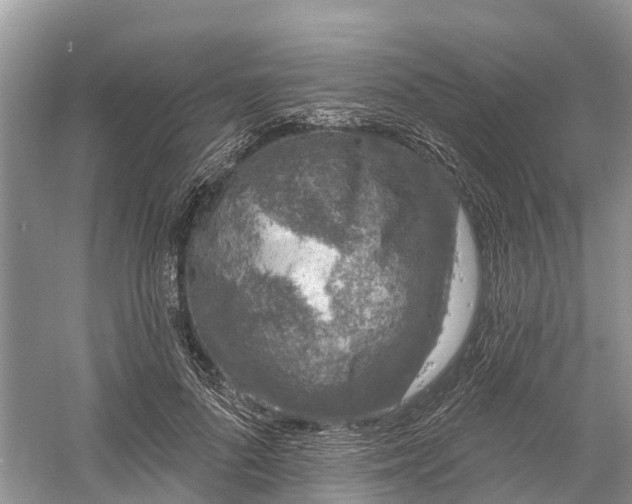 X0000060580696200511171658