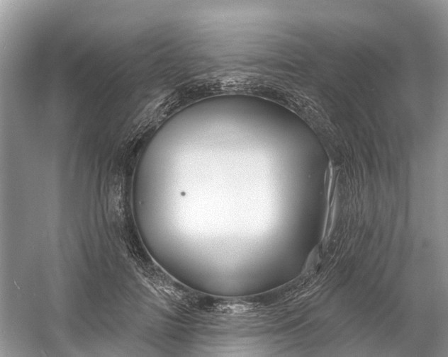 X0000060580698200511171658