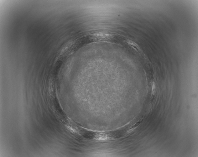 X0000060580701200511171658