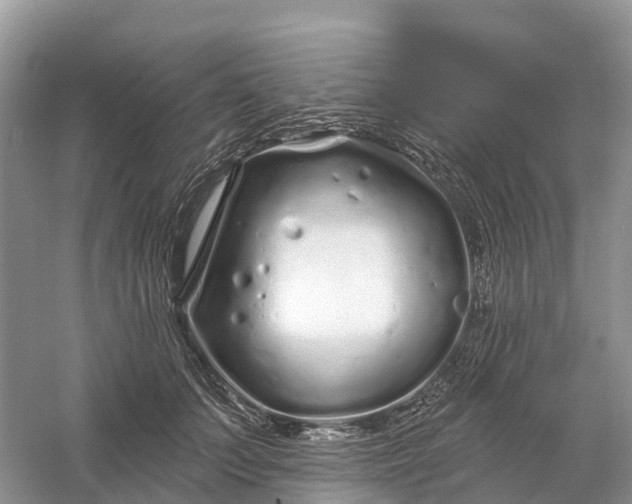 X0000060580703200511171658