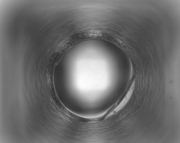 X0000060580704200511171657