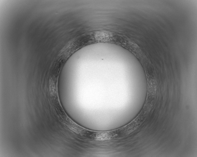 X0000060580705200511171657