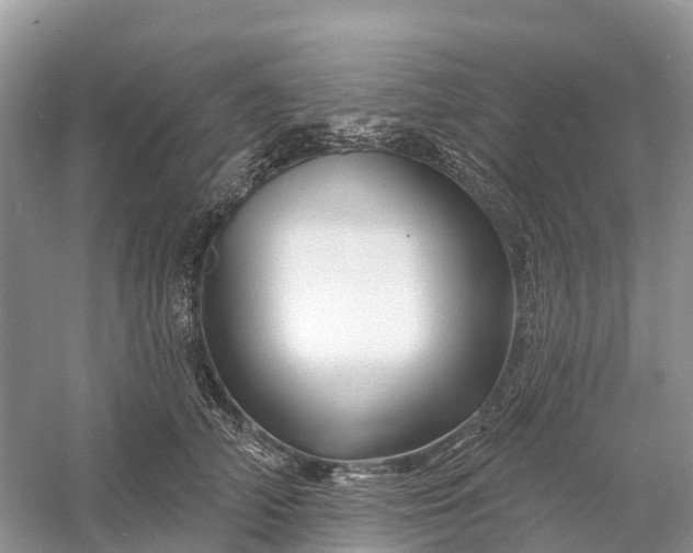 X0000060580706200511171657