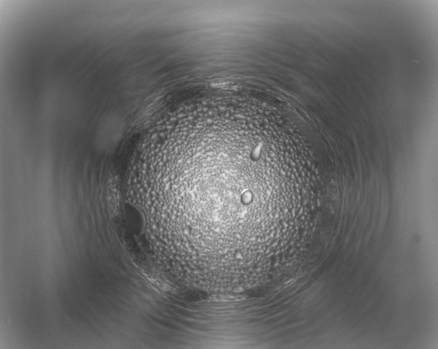 X0000060580707200511171657