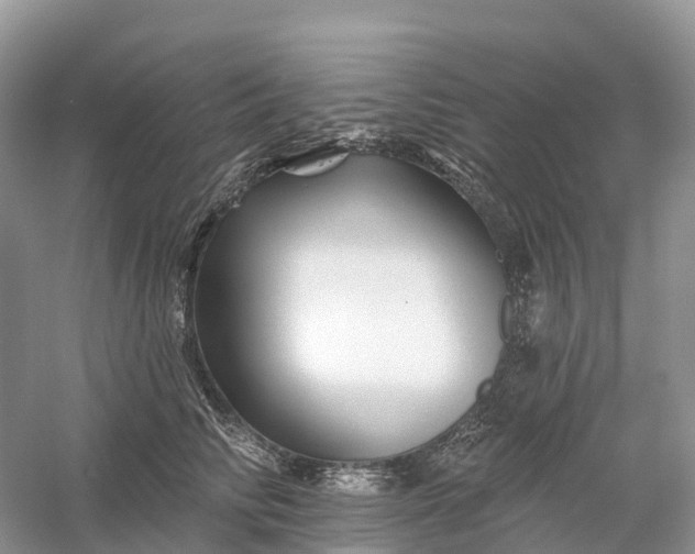 X0000060580710200511171657