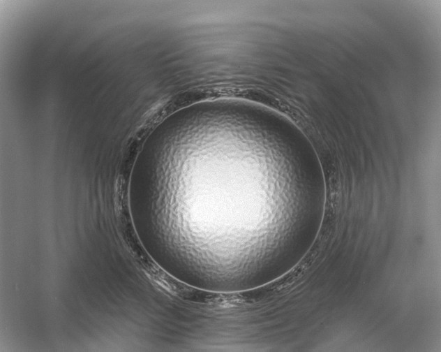 X0000060580712200511171657