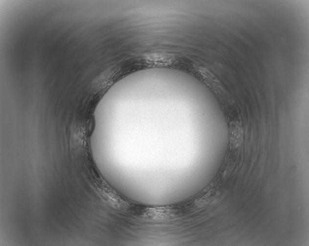 X0000060580713200511171657