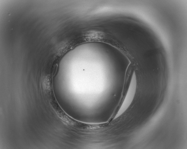 X0000060580715200511171657