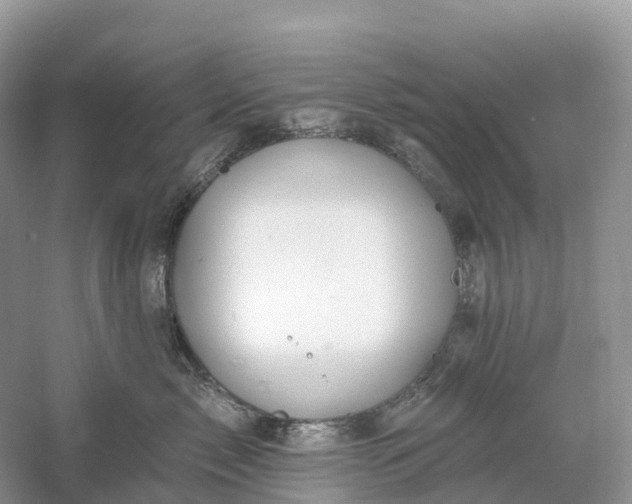 X0000060580717200511171657