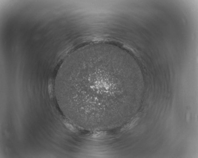 X0000060580720200511171657