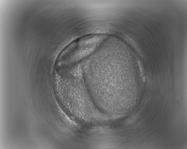 X0000060580721200511171656