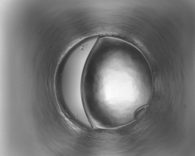 X0000060580722200511171656