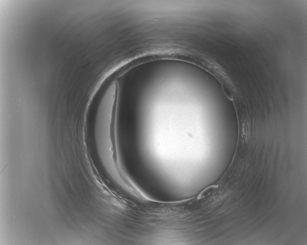 X0000060580724200511171656