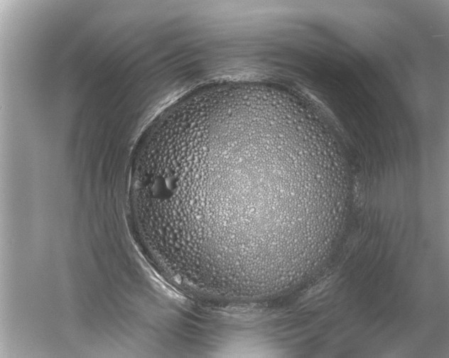 X0000060580725200511171656