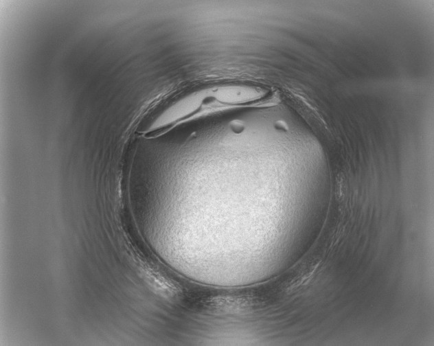 X0000060580733200511171657