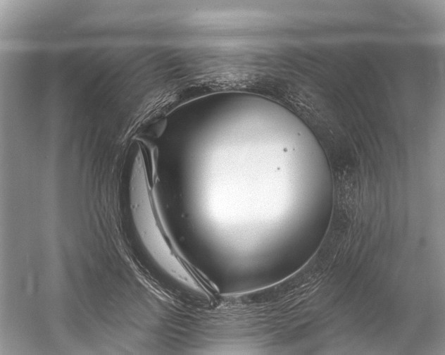 X0000060580742200511171657