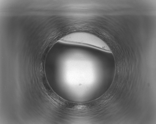 X0000060580748200511171657