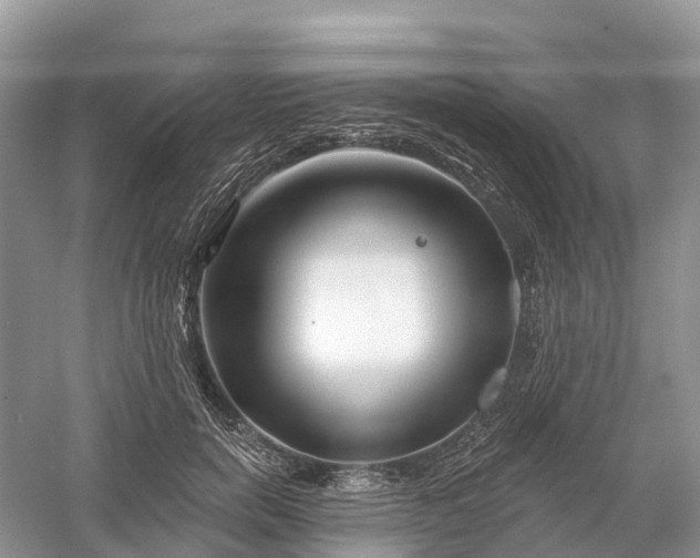 X0000060580750200511171657