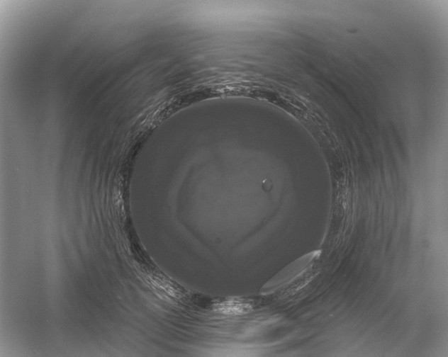 X0000060580754200511171657