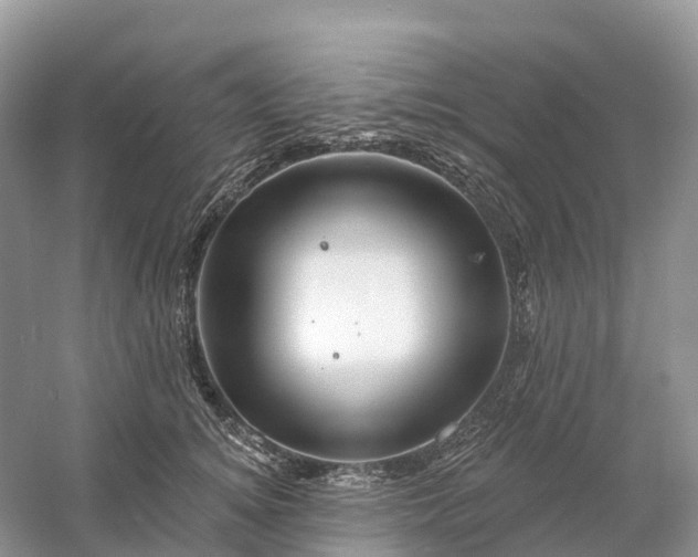 X0000060580756200511171657