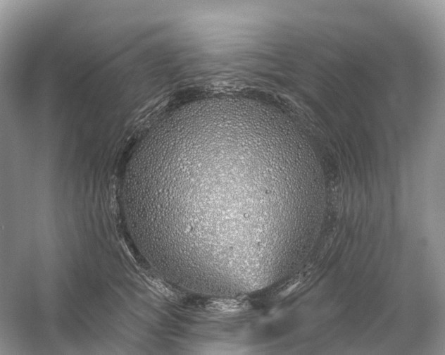 X0000060580757200511171657