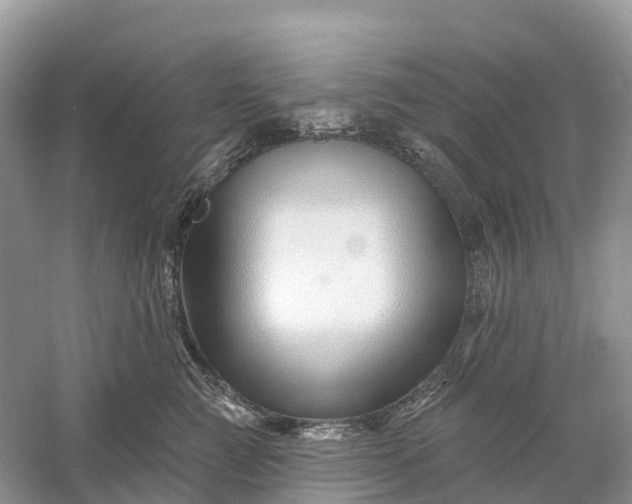 X0000060580761200511171657