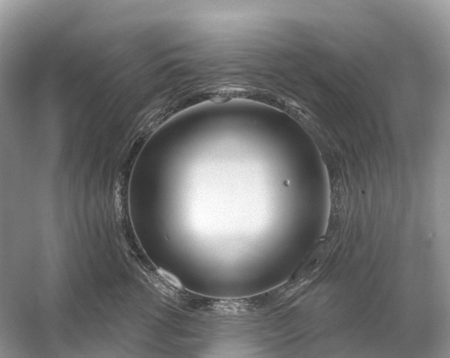 X0000060580762200511171657