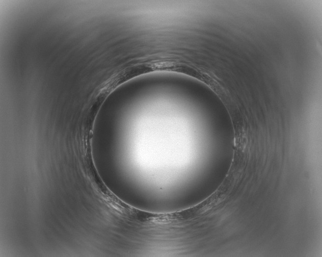 X0000060580763200511171657