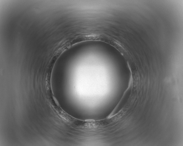 X0000060580764200511171657