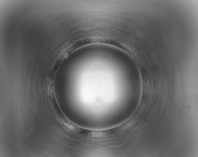 X0000060580766200511171657