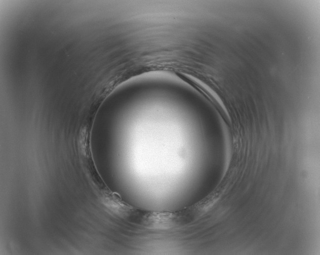 X0000060580767200511171657