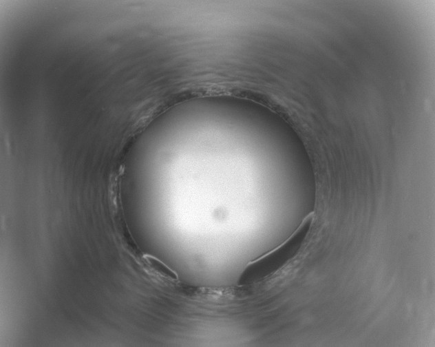 X0000060580768200511171657