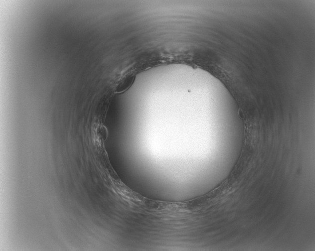 X0000060580770200511171656