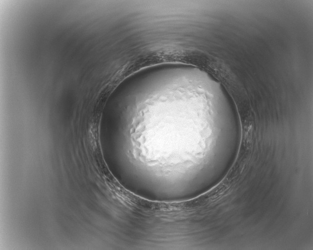 X0000060580772200511171656