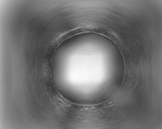 X0000060580773200511171656