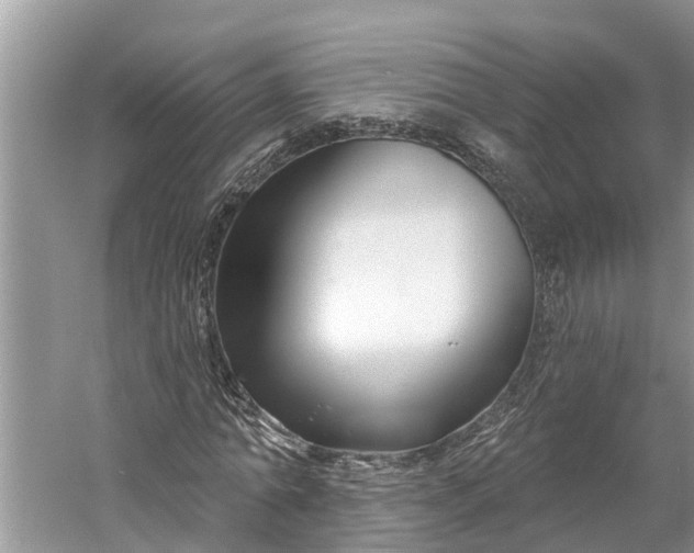 X0000060580774200511171656