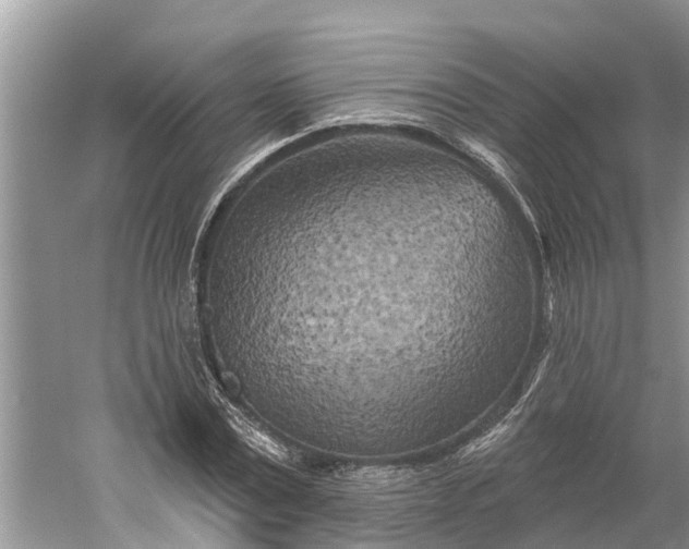 X0000060580779200511171656