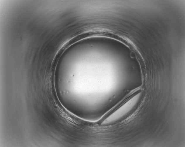 X0000060580783200511171656