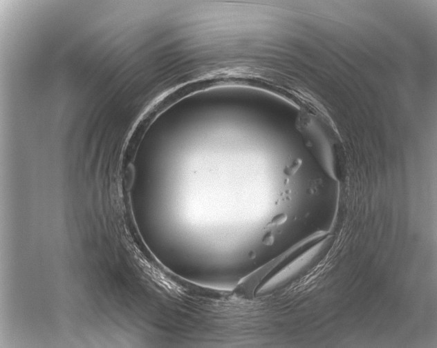 X0000060580784200511171656