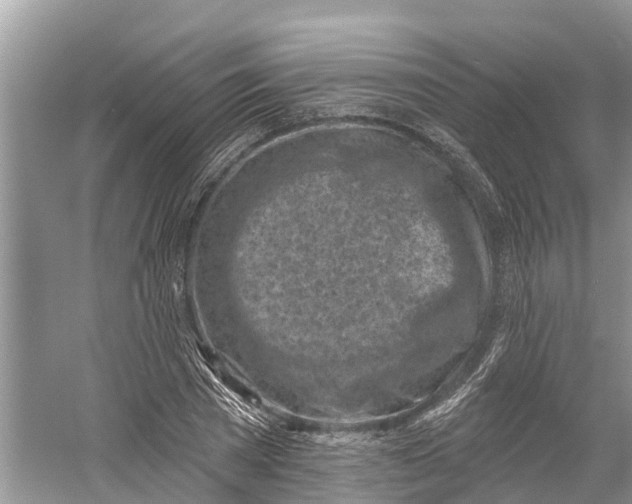 X0000060580785200511171656