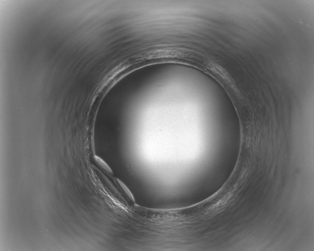 X0000060580786200511171656